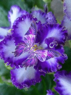 file_63394262