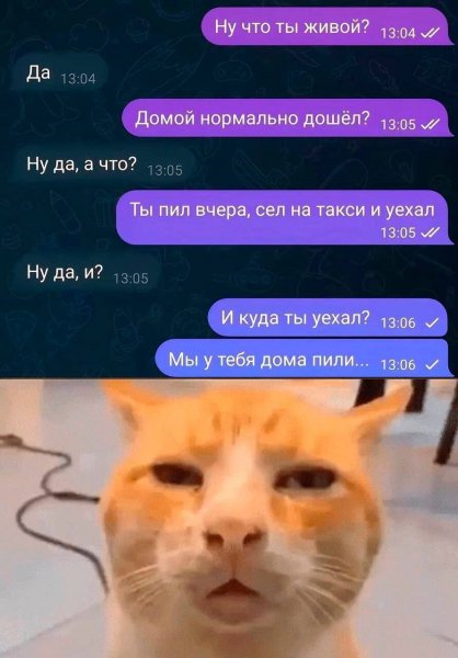 IMG 20260614 165307