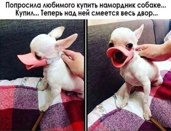 file_103416819
