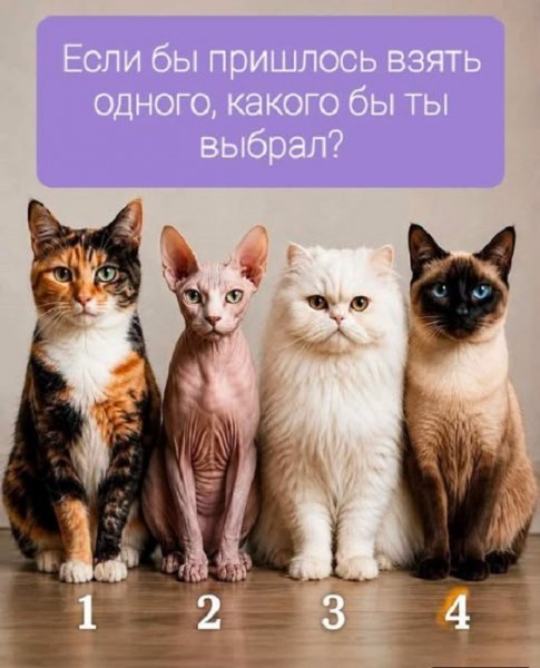 ВСЕХ