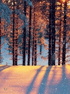 file_58083107