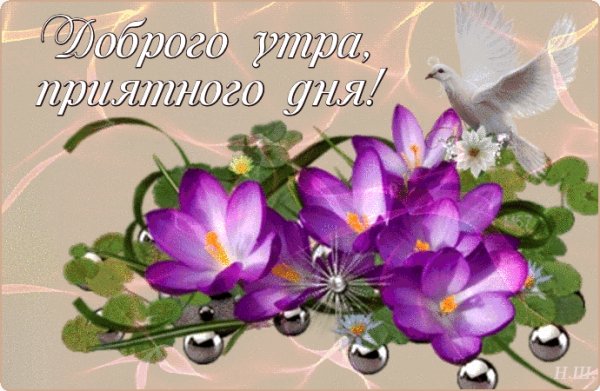 file_75312050