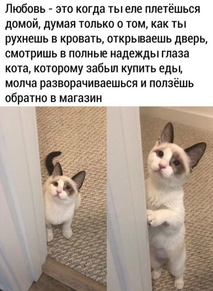 file_102354030