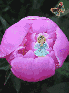 file_41159690