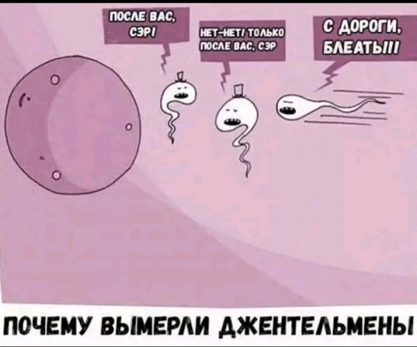 file_103410883