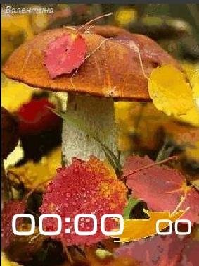 10 Грибочки анимация