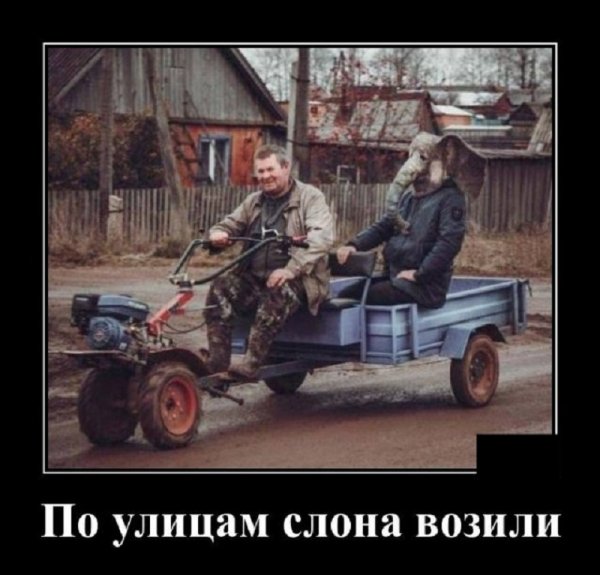 По улицам слона возили