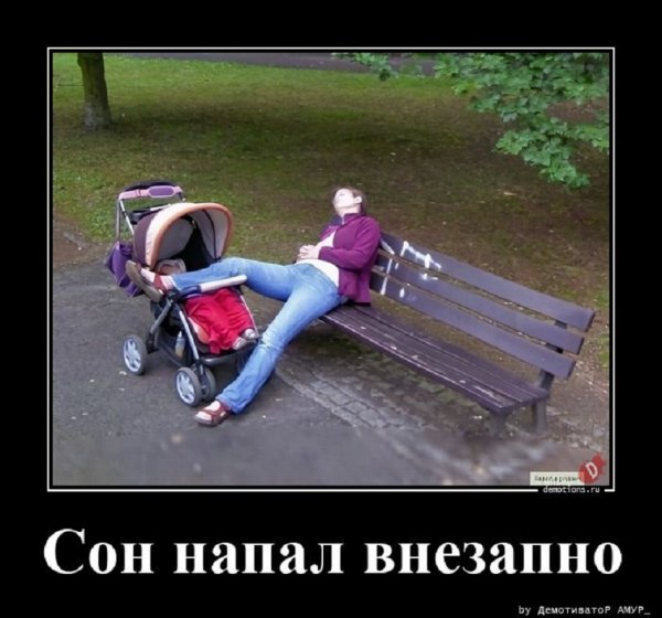 Сон напал внезапно