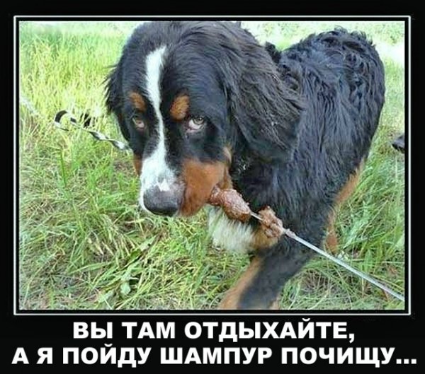 file_102657584