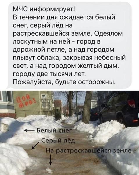 file_101841324