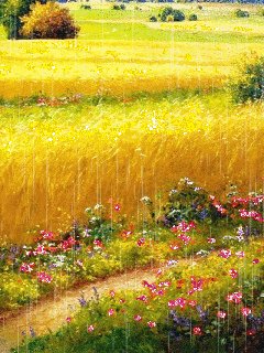 file_50361234