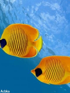 file_46288908