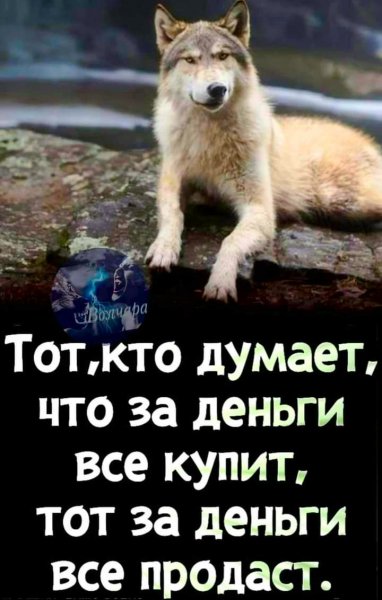 file_101446244