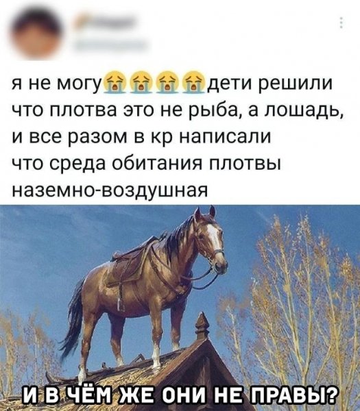 8f158c86889d598428d32197b30aa3d4