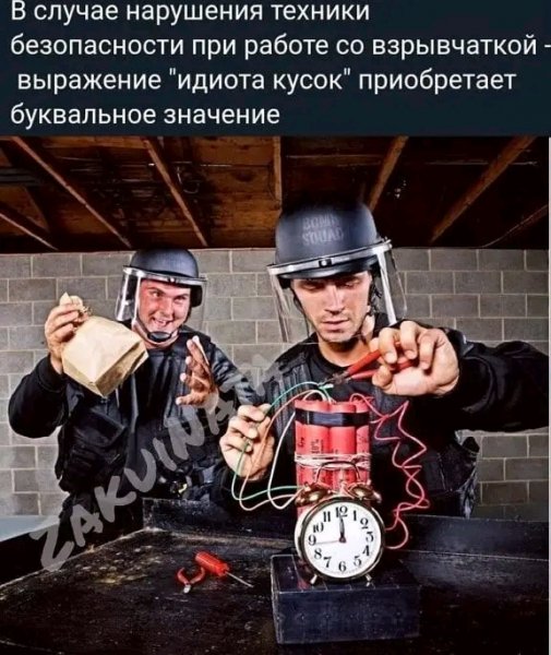 file_103310471