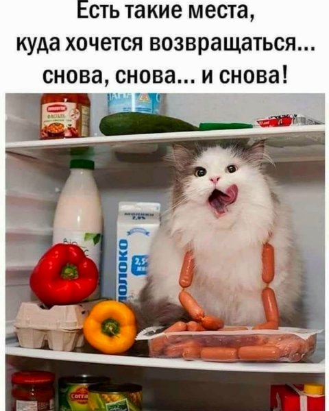 file_100730048