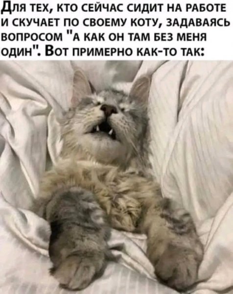 file_103310466