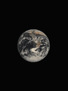 file_36039078