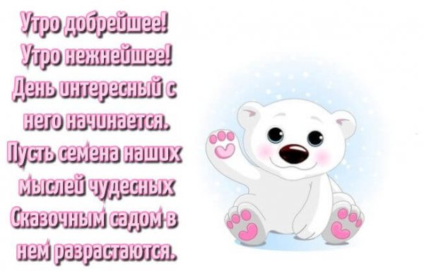IMG 20190103 785209