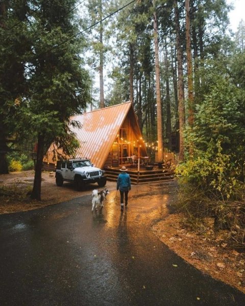 file_95891009