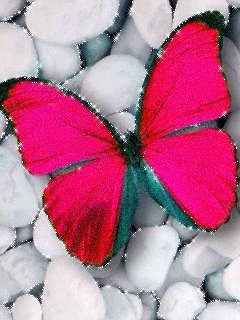 file_64199908