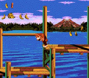 Donkey Kong 99