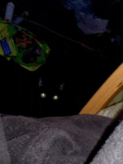 Аццкей котег
