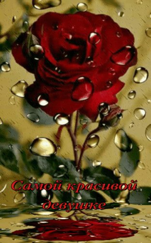 Самой красивой девушке