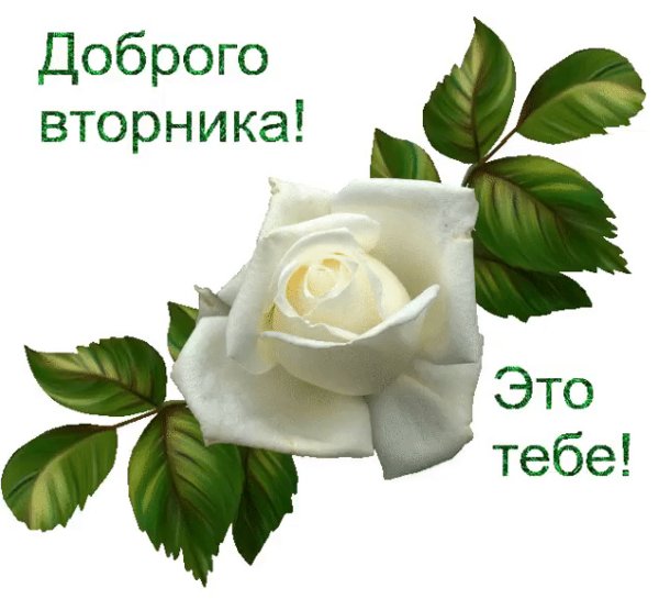 file_75366253