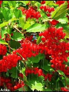 file_58683763