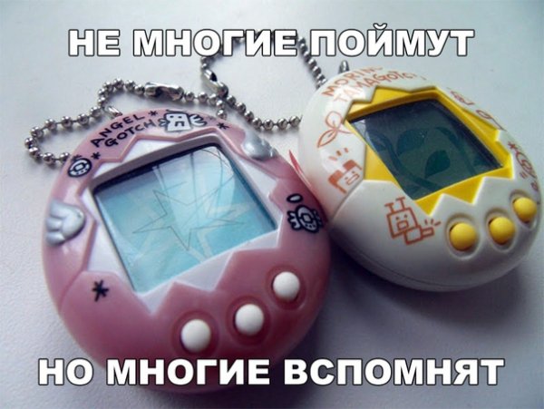 file_76381456