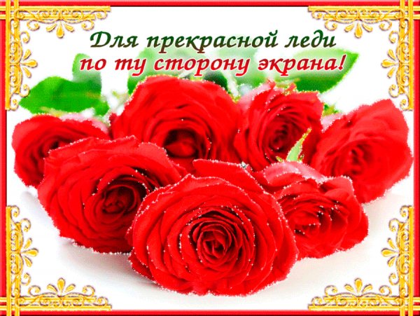ДЛЯ ПРЕКРАСНОЙ ЛЕДИ ПО ТУ СТОРОНУ ЭКРАНА