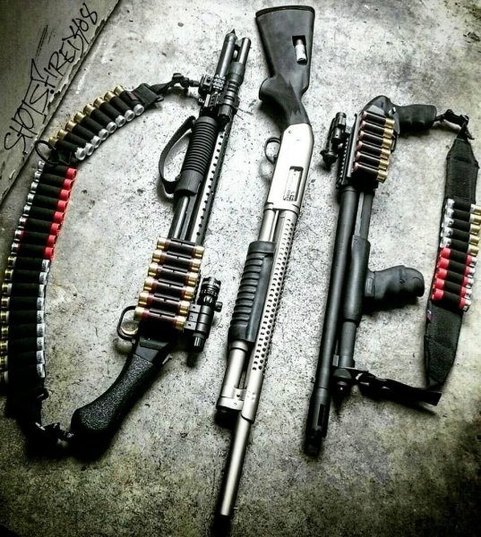 QtsXMmB359U