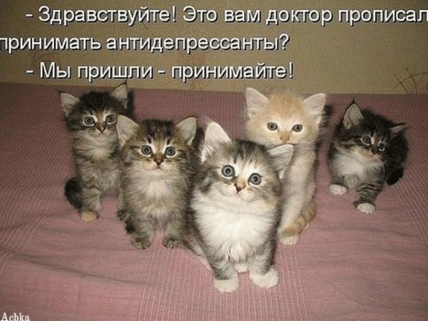 file_92737904