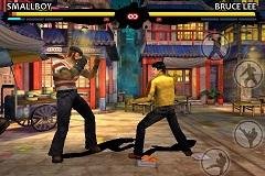 Bruce Lee Dragon Warrior