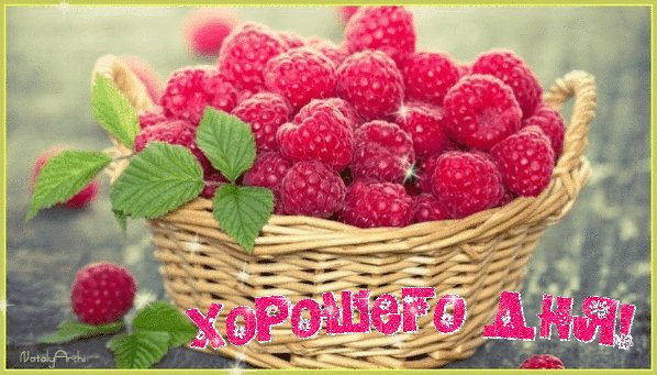 file_62583811
