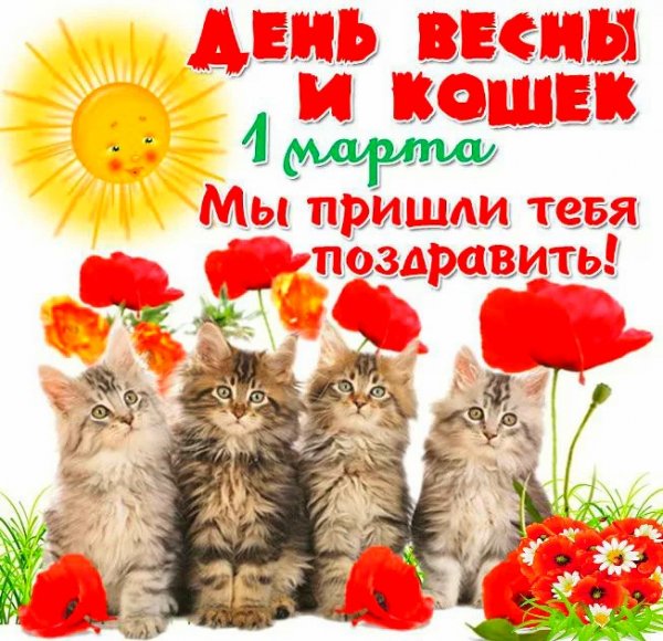 1 марта