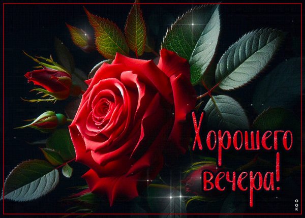 file_98863901