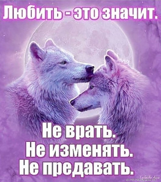 e0db612e2f939b093ad6ade07908f4af-