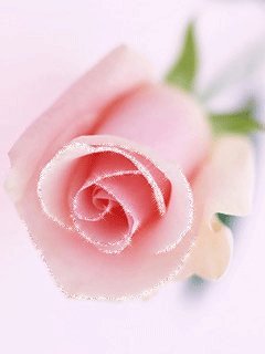 file_2607904