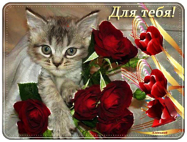 file_74085021