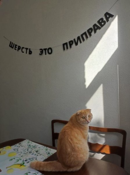 FB IMG 1752257731734