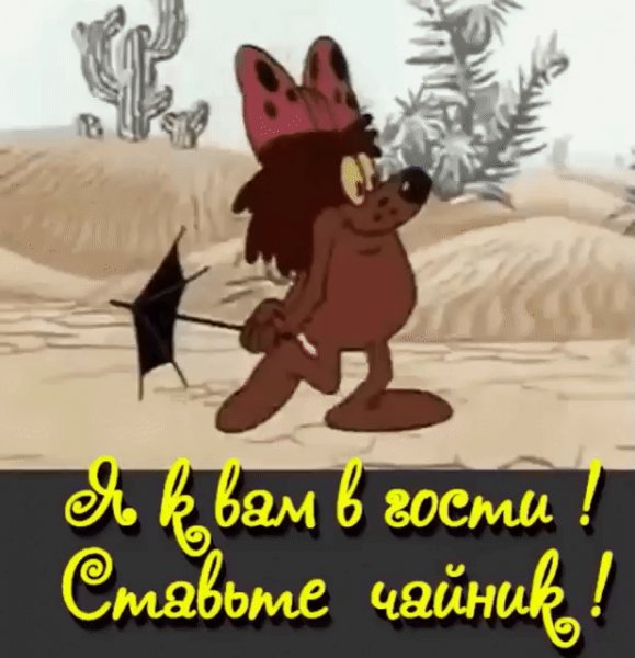 gif 1488715451