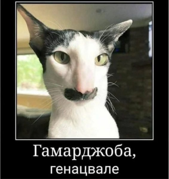 FB IMG 1765135962322