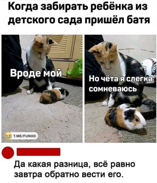 file_103231481