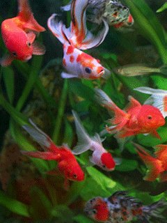 file_20100101