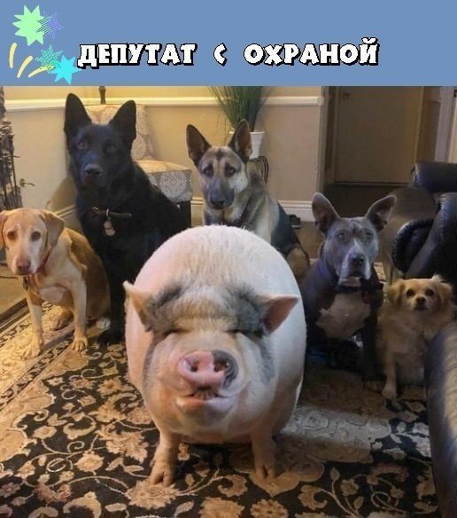 IMG 20191212 202844