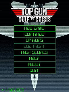 Top Gun Gulf Crisis