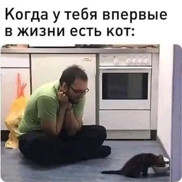 file_103268718