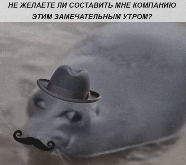 IMG 20260522 231825 808